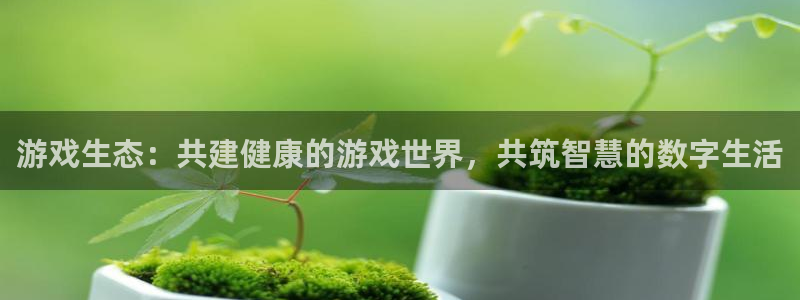 赢咖娱乐怎么注册：游戏生态：共建健康的游戏世界，共筑智慧的数