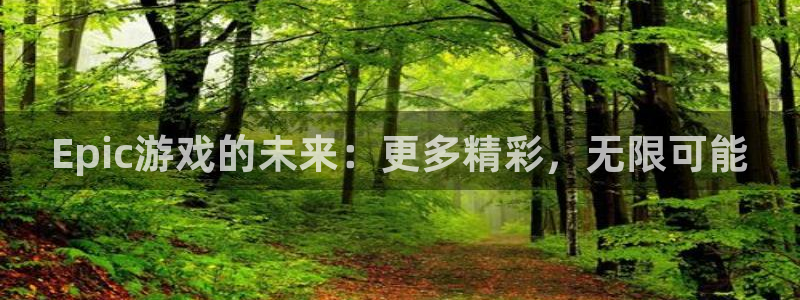 赢咖娱乐登陆：Epic游戏的未来：更多精彩，无限可能