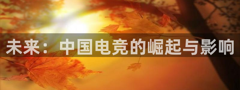 赢咖娱乐平台登录线路：未来：中国电竞的崛起与影响