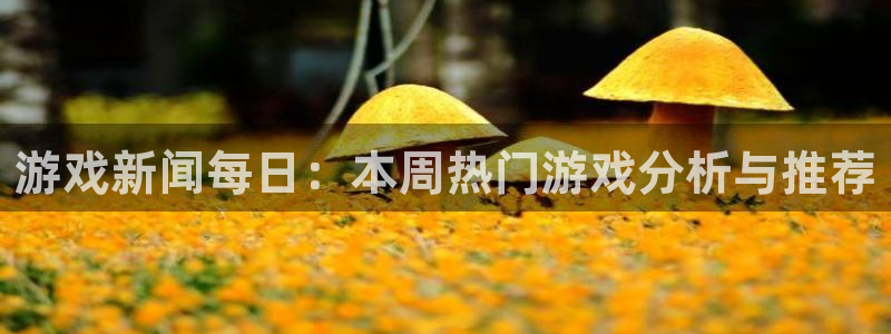 赢咖娱乐2首页登录：游戏新闻每日：本周热门游戏分析与推荐
