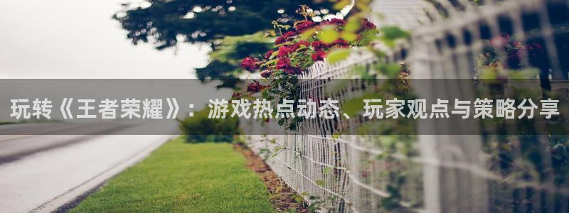 赢咖娱乐下载：玩转《王者荣耀》：游戏热点动态、玩家观点与策略