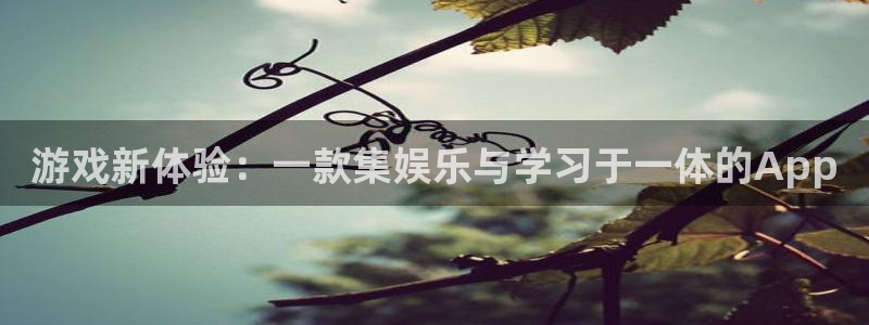 赢咖娱乐平台注册资金多少：游戏新体验：一款集娱乐与学习于一体