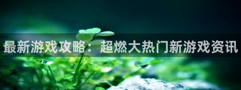 赢咖娱乐注册网站：最新游戏攻略：超燃大热门新游戏资讯