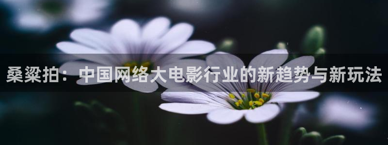 赢咖娱乐网页登录入口官网：桑粱拍：中国网络大电影行业的新趋势