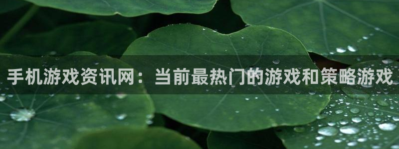 赢咖娱乐平台登录入口：手机游戏资讯网：当前最热门的游戏和策略