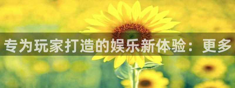 赢咖娱乐4开户：专为玩家打造的娱乐新体验：更多